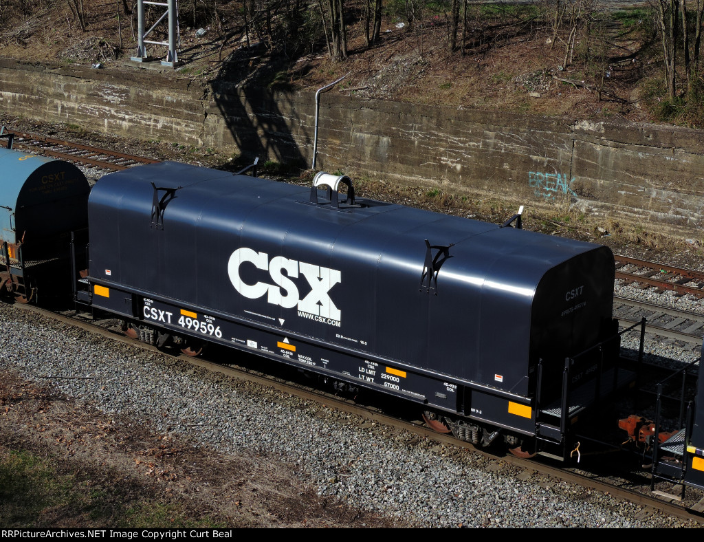 CSX 499596